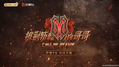 披荊斬棘的哥哥