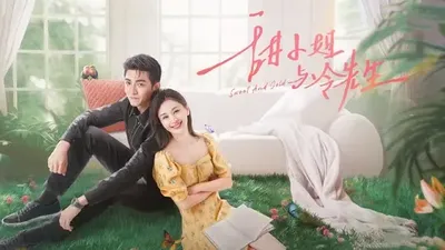 甜小姐与冷先生