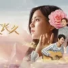 但愿人长久 第10集