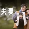 小夫妻 第20集